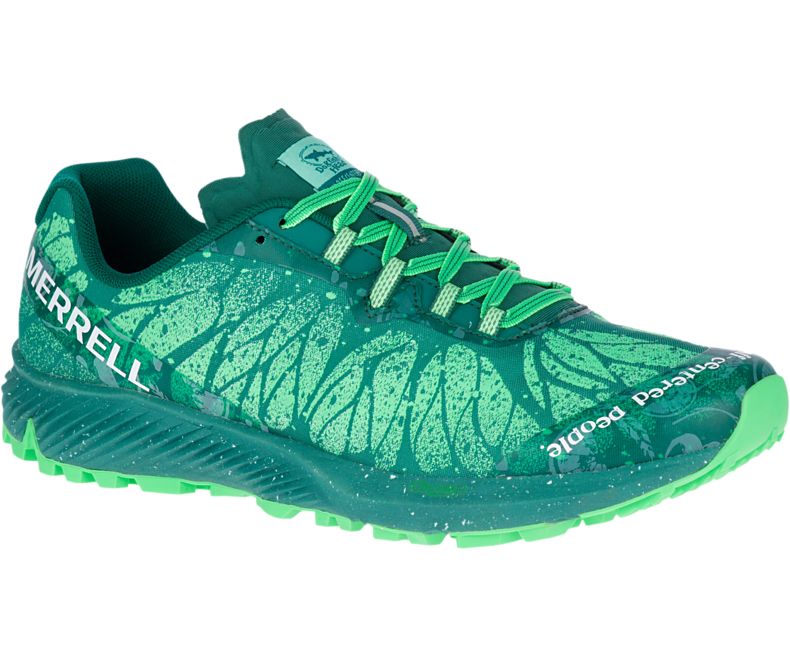 Merrell Agility Synthesis X Dogfish Løpesko Dame Grønn | 40793W-1RG