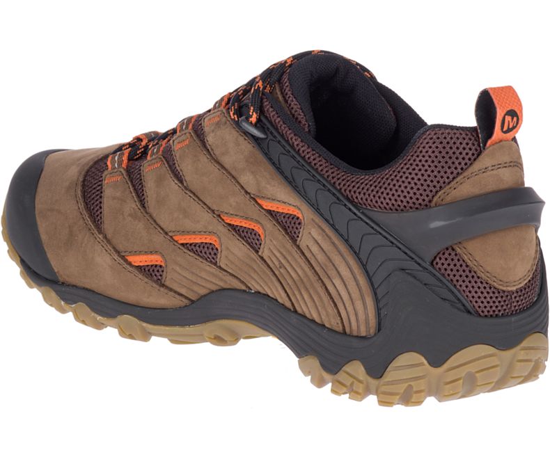 Merrell Chameleon 7 Fjellsko Herre Mørke Brune | 30689M-2HD