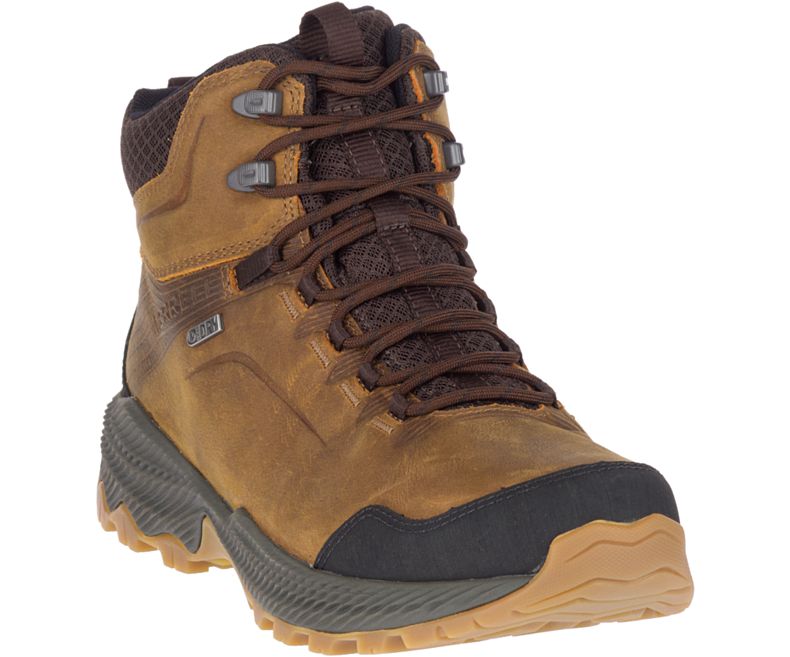 Merrell Forestbound Mid Vanntette Vanntette Sko Herre Brune | 34940M-2WB