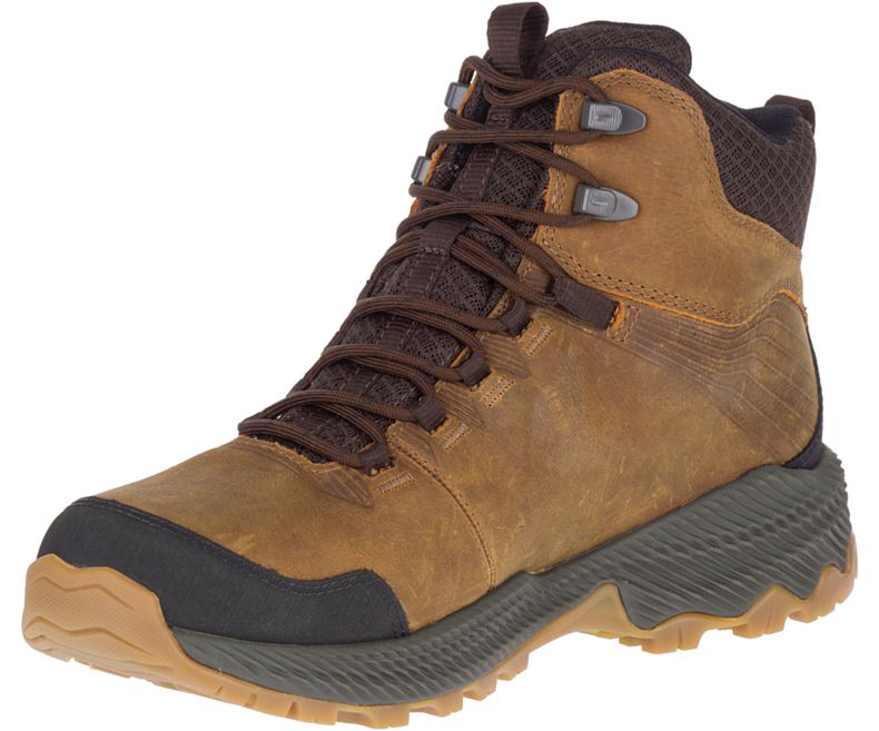 Merrell Forestbound Mid Vanntette Vanntette Sko Herre Brune | 34940M-2WB