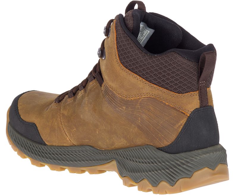 Merrell Forestbound Mid Vanntette Vanntette Sko Herre Brune | 34940M-2WB